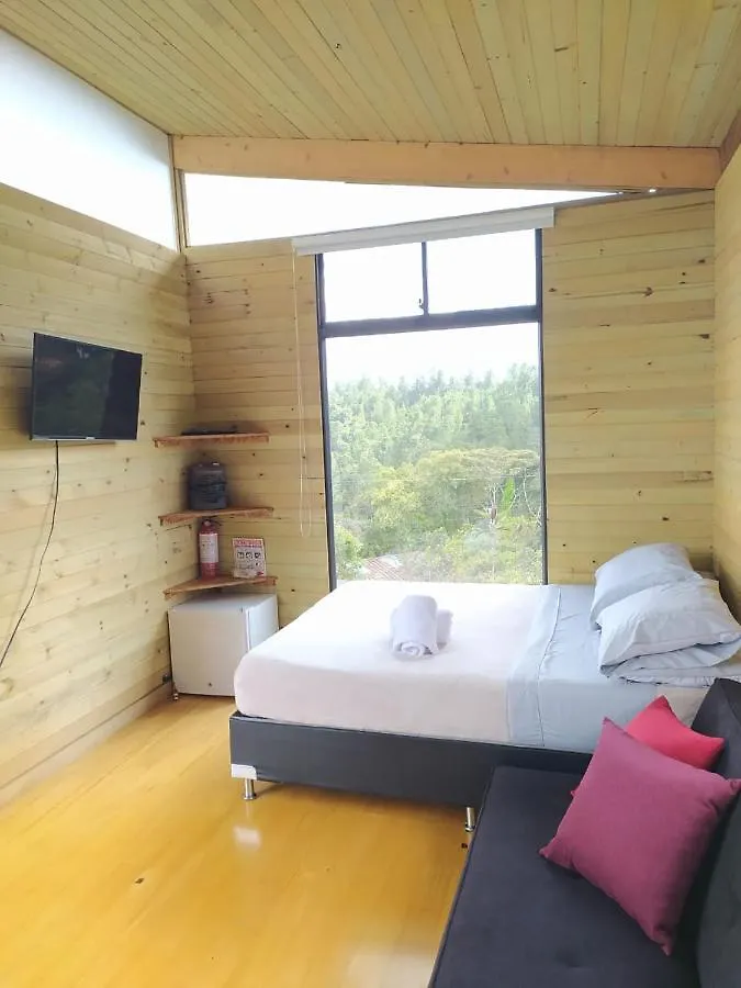 Terravista ميديلين