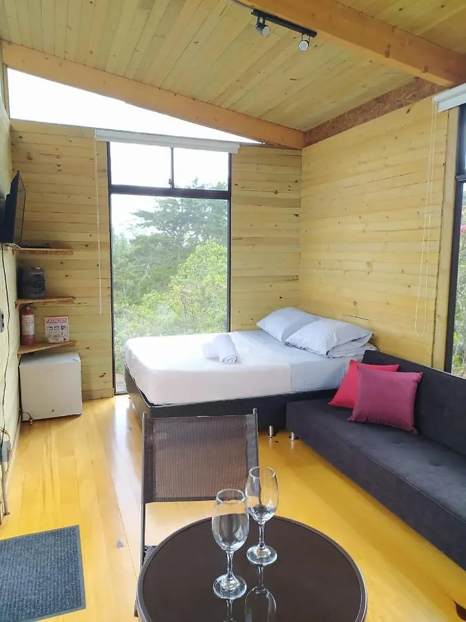 Terravista 0*, ميديلين