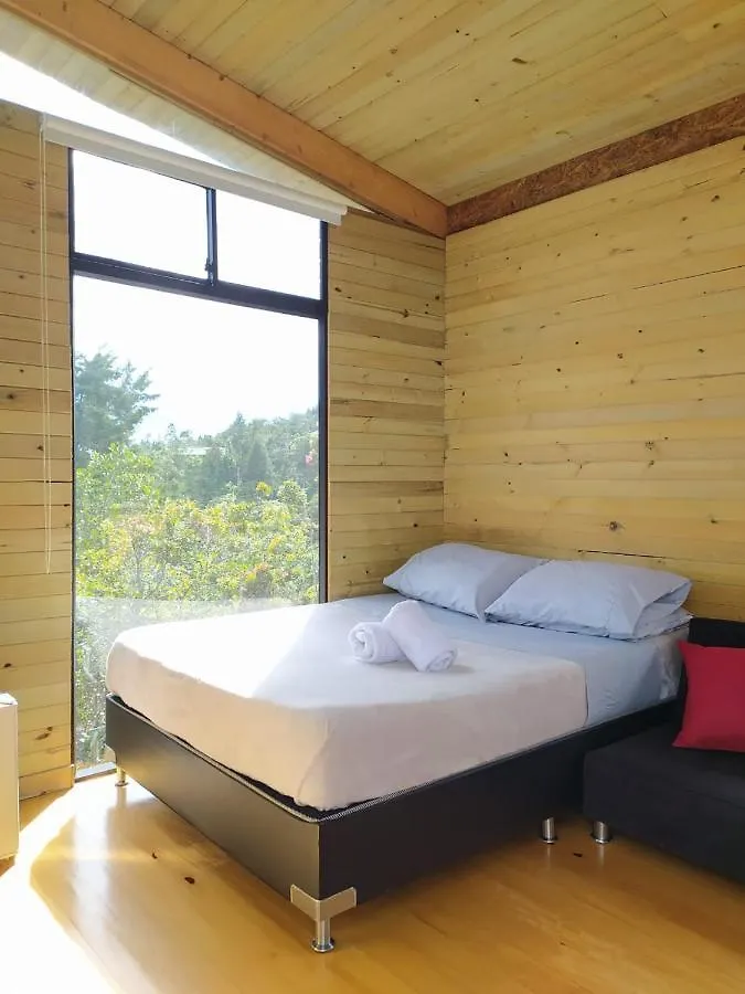 Terravista 0*, ميديلين كولومبيا