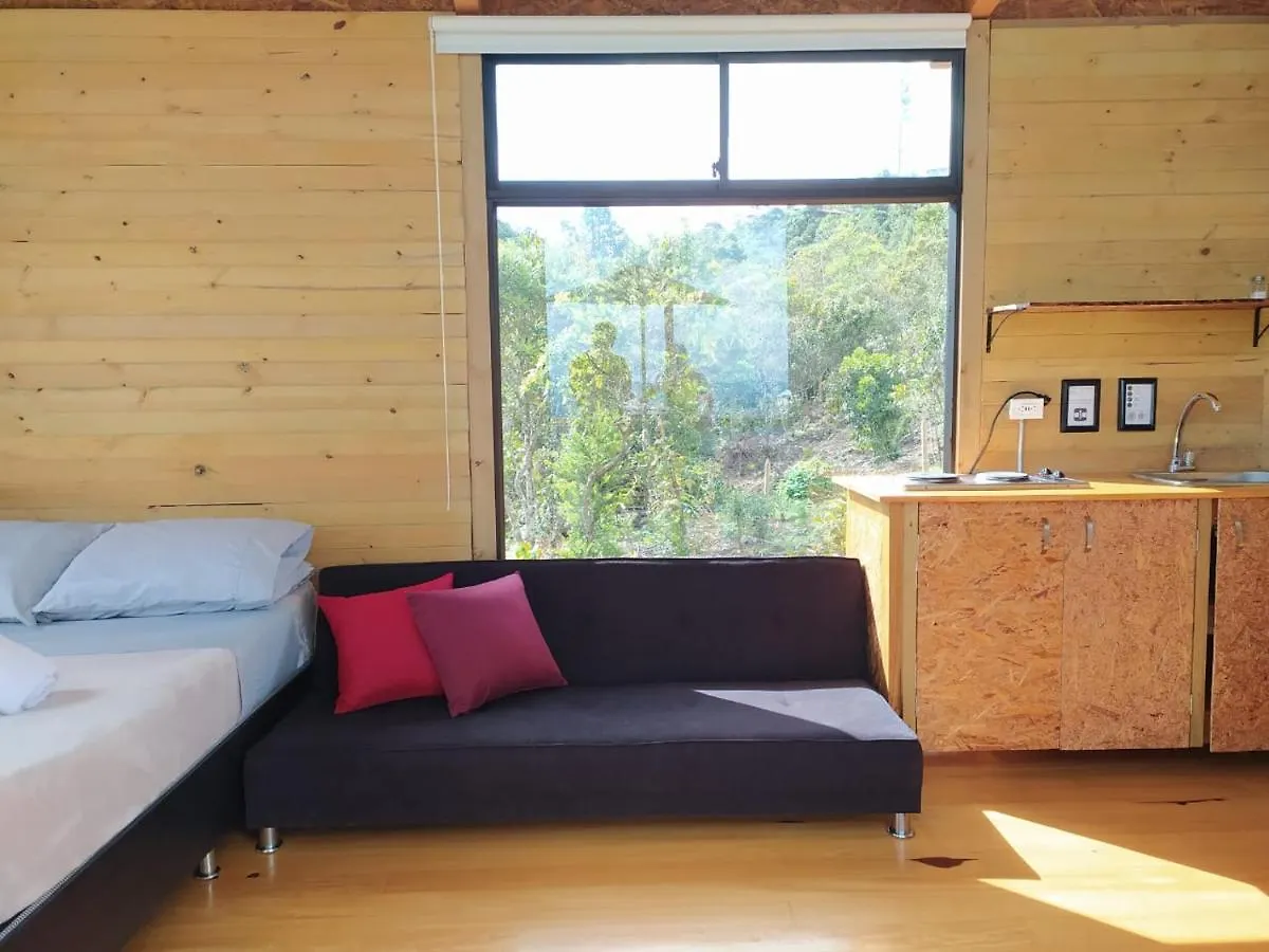 Terravista